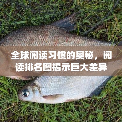 全球閱讀習慣的奧秘，閱讀排名圖揭示巨大差異！