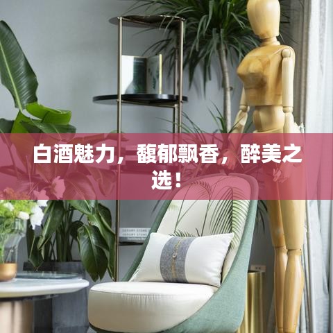 白酒魅力，馥郁飄香，醉美之選！