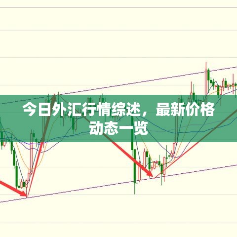 今日外匯行情綜述，最新價格動態(tài)一覽