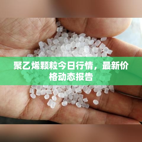 司空見慣 第2頁