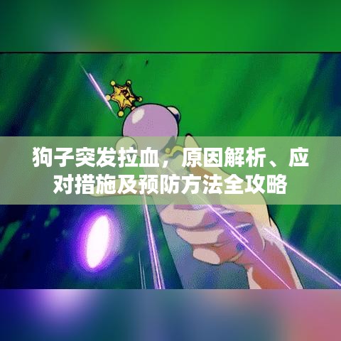 狗子突發(fā)拉血，原因解析、應(yīng)對(duì)措施及預(yù)防方法全攻略