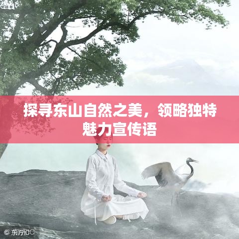 探尋東山自然之美，領(lǐng)略獨(dú)特魅力宣傳語(yǔ)