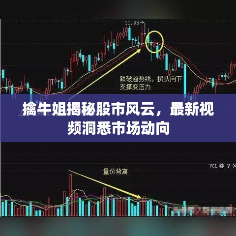 擒牛姐揭秘股市風(fēng)云，最新視頻洞悉市場(chǎng)動(dòng)向