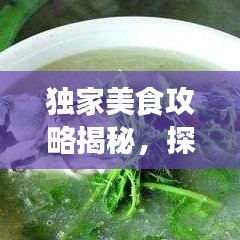 獨家美食攻略揭秘，探索味蕾盛宴的極致之旅