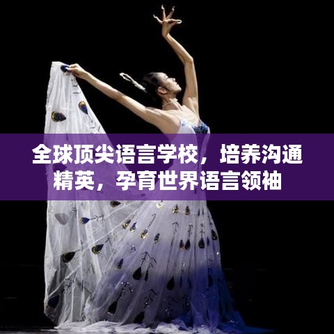 全球頂尖語言學(xué)校，培養(yǎng)溝通精英，孕育世界語言領(lǐng)袖