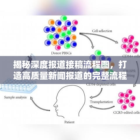 揭秘深度報(bào)道接稿流程圖，打造高質(zhì)量新聞報(bào)道的完整流程揭秘