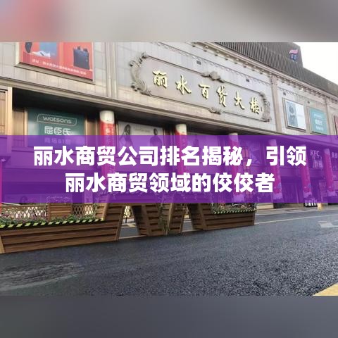 麗水商貿公司排名揭秘，引領麗水商貿領域的佼佼者
