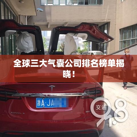 全球三大氣囊公司排名榜單揭曉！