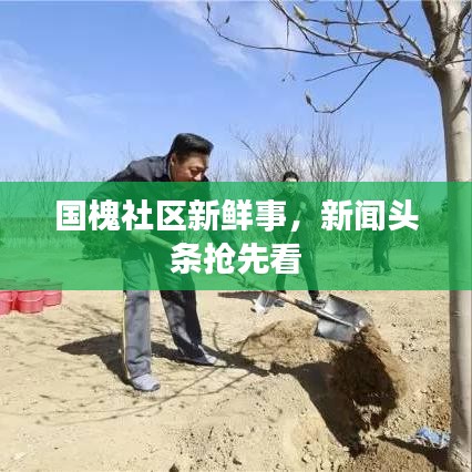 國槐社區(qū)新鮮事，新聞頭條搶先看