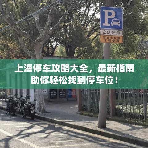 上海停車攻略大全，最新指南助你輕松找到停車位！
