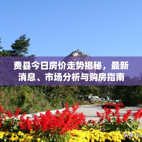 七嘴八張 第2頁