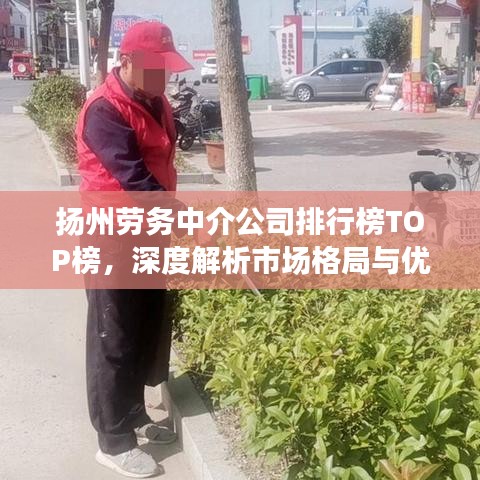 揚(yáng)州勞務(wù)中介公司排行榜TOP榜，深度解析市場(chǎng)格局與優(yōu)質(zhì)服務(wù)商！