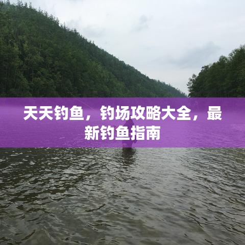 天天釣魚，釣場(chǎng)攻略大全，最新釣魚指南
