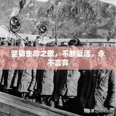 堅韌生命之歌，不斷復活，永不言棄