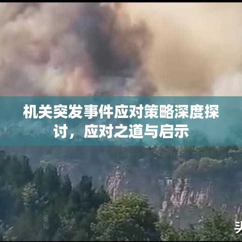 機關突發(fā)事件應對策略深度探討，應對之道與啟示