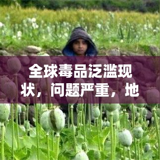 全球毒品泛濫現(xiàn)狀，問題嚴重，地區(qū)排名與治理挑戰(zhàn)