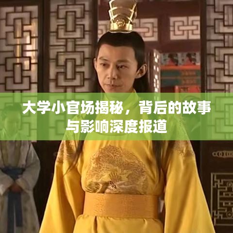 大學(xué)小官場揭秘，背后的故事與影響深度報(bào)道