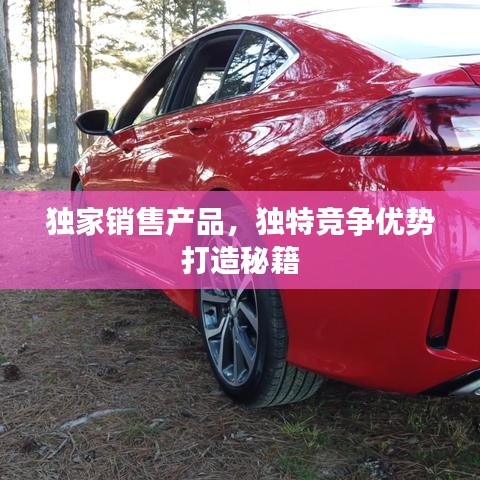 獨(dú)家銷售產(chǎn)品，獨(dú)特競(jìng)爭(zhēng)優(yōu)勢(shì)打造秘籍