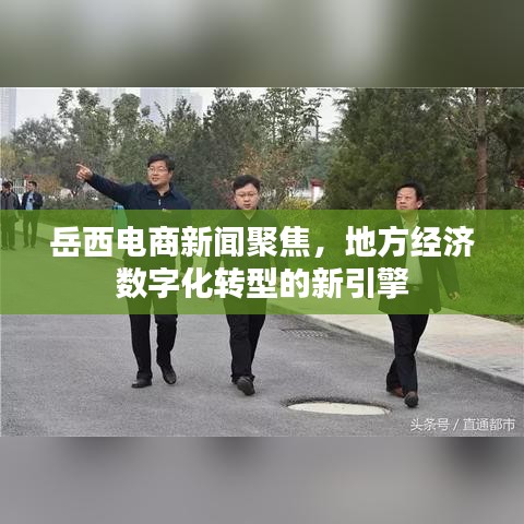 岳西電商新聞聚焦，地方經(jīng)濟(jì)數(shù)字化轉(zhuǎn)型的新引擎