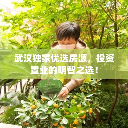 武漢獨(dú)家優(yōu)選房源，投資置業(yè)的明智之選！