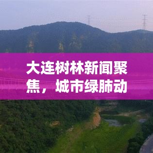 大連樹(shù)林新聞聚焦，城市綠肺動(dòng)態(tài)更新