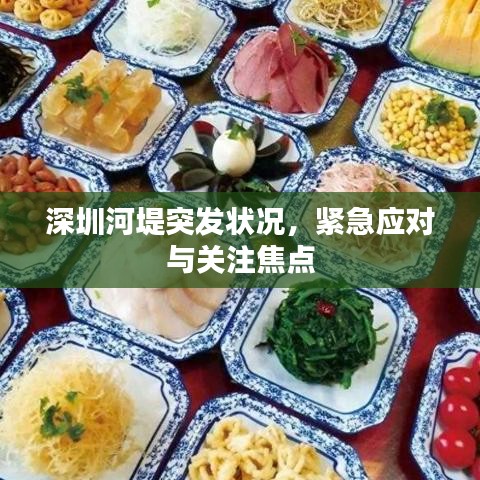 深圳河堤突發(fā)狀況，緊急應對與關注焦點