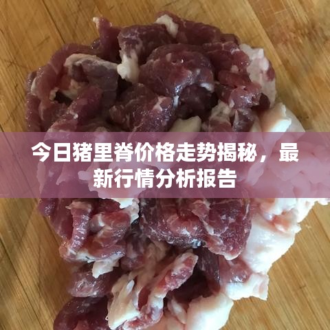 今日豬里脊價(jià)格走勢(shì)揭秘，最新行情分析報(bào)告