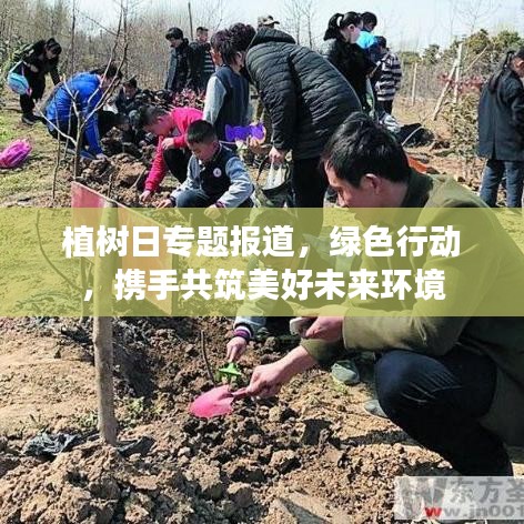 植樹日專題報道，綠色行動，攜手共筑美好未來環(huán)境