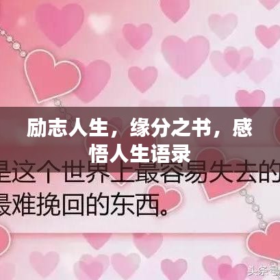 勵(lì)志人生，緣分之書(shū)，感悟人生語(yǔ)錄