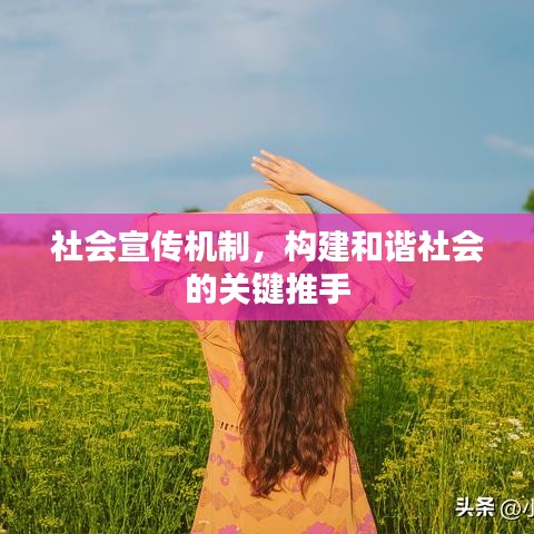 社會宣傳機(jī)制，構(gòu)建和諧社會的關(guān)鍵推手