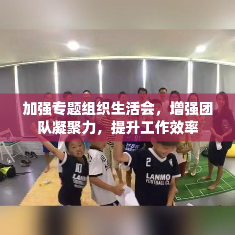 加強(qiáng)專題組織生活會(huì)，增強(qiáng)團(tuán)隊(duì)凝聚力，提升工作效率