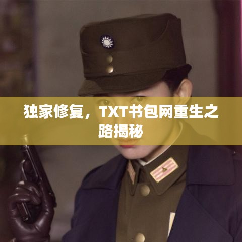 獨(dú)家修復(fù)，TXT書包網(wǎng)重生之路揭秘