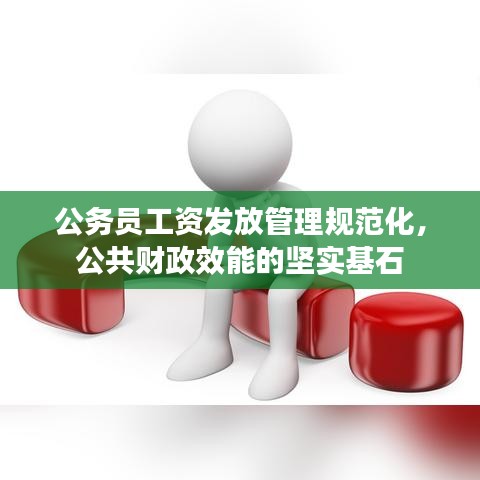 公務(wù)員工資發(fā)放管理規(guī)范化，公共財(cái)政效能的堅(jiān)實(shí)基石