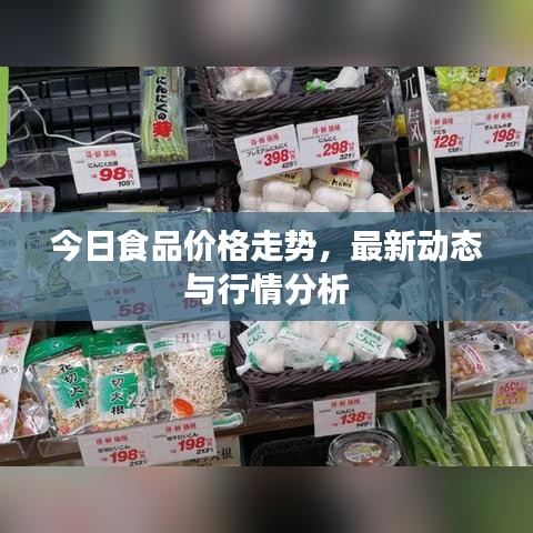 今日食品價(jià)格走勢(shì)，最新動(dòng)態(tài)與行情分析