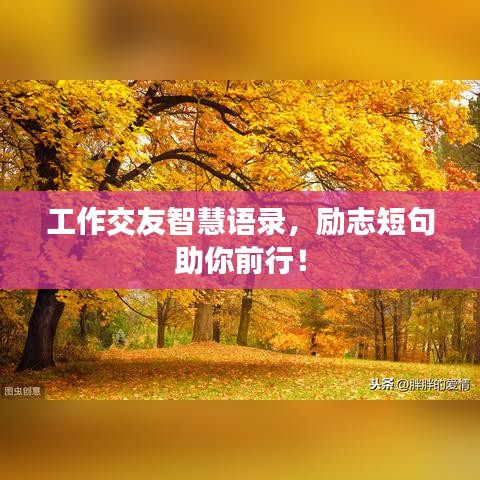 工作交友智慧語錄，勵志短句助你前行！