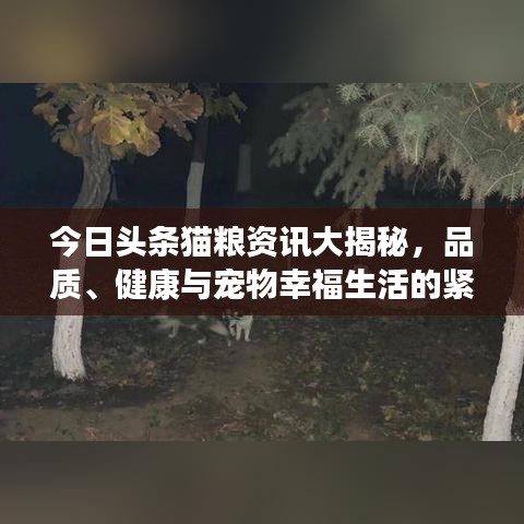 今日頭條貓糧資訊大揭秘，品質(zhì)、健康與寵物幸福生活的緊密關(guān)聯(lián)