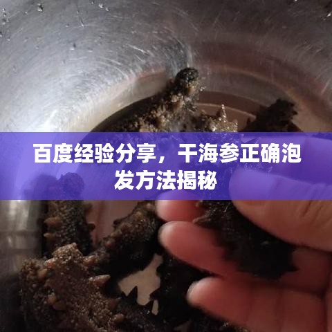 百度經(jīng)驗(yàn)分享，干海參正確泡發(fā)方法揭秘