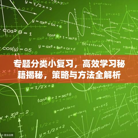 專題分類小復習，高效學習秘籍揭秘，策略與方法全解析