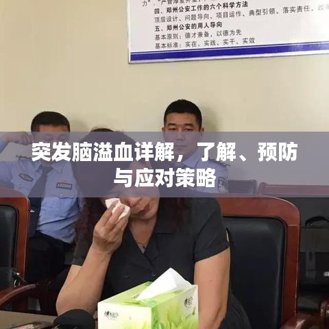 突發(fā)腦溢血詳解，了解、預(yù)防與應(yīng)對(duì)策略