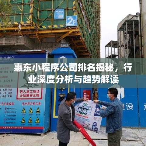 惠東小程序公司排名揭秘，行業(yè)深度分析與趨勢解讀