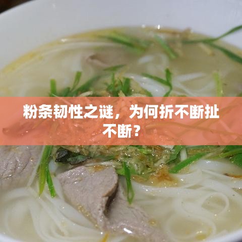 粉條韌性之謎，為何折不斷扯不斷？