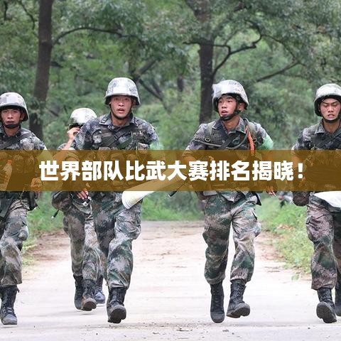 世界部隊(duì)比武大賽排名揭曉！