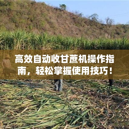 高效自動收甘蔗機(jī)操作指南，輕松掌握使用技巧！