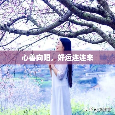 心善向陽，好運連連來