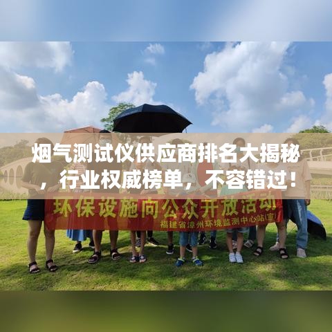 煙氣測(cè)試儀供應(yīng)商排名大揭秘，行業(yè)權(quán)威榜單，不容錯(cuò)過(guò)！