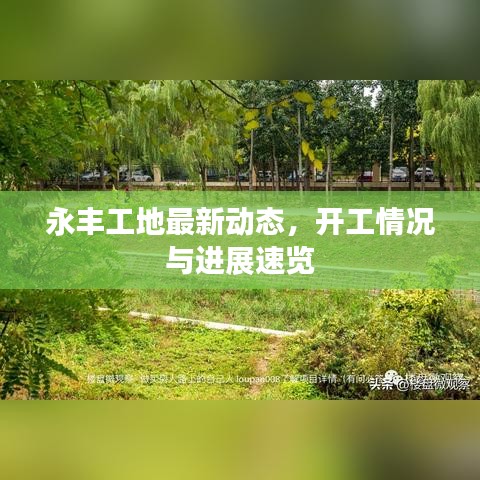 永豐工地最新動(dòng)態(tài)，開工情況與進(jìn)展速覽