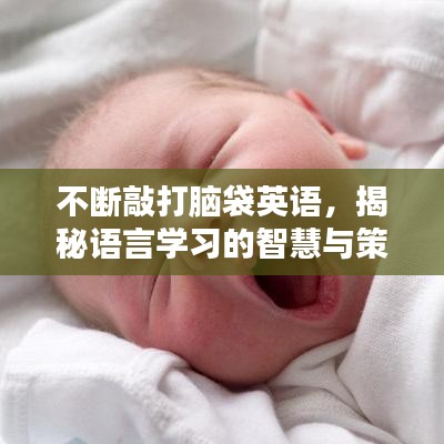 不斷敲打腦袋英語，揭秘語言學(xué)習(xí)的智慧與策略