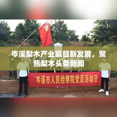 岑溪梨木產(chǎn)業(yè)矚目新發(fā)展，聚焦梨木頭條新聞