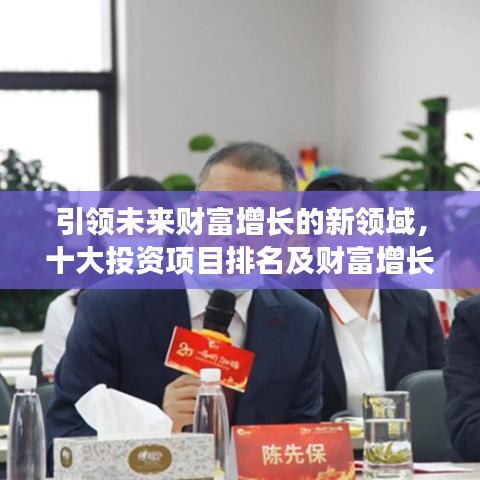 引領(lǐng)未來財(cái)富增長(zhǎng)的新領(lǐng)域，十大投資項(xiàng)目排名及財(cái)富增長(zhǎng)機(jī)會(huì)分析