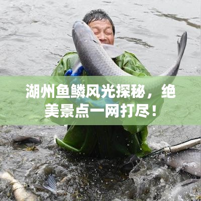 湖州魚鱗風(fēng)光探秘，絕美景點(diǎn)一網(wǎng)打盡！